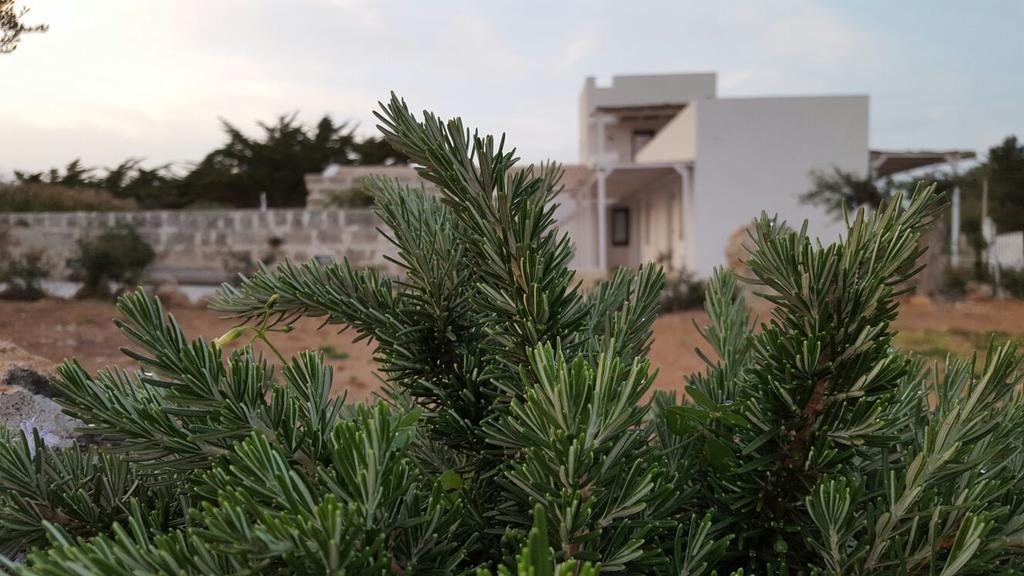 Casa Vacanze Senia Del Rais Favignana Eksteriør billede